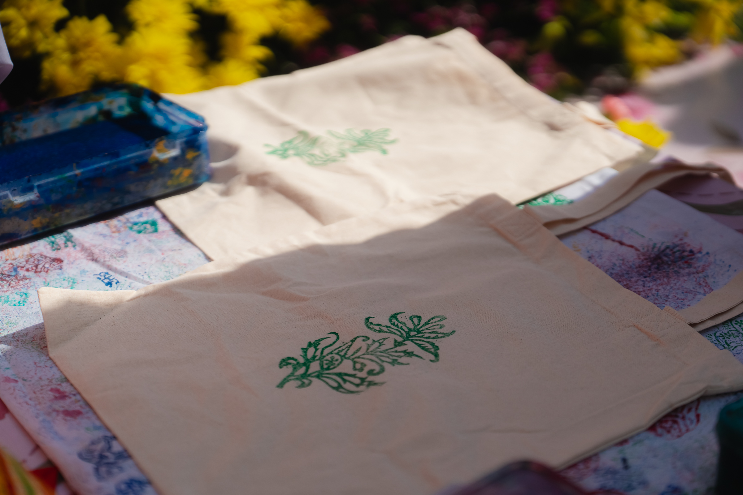 Image from Akhila Anand